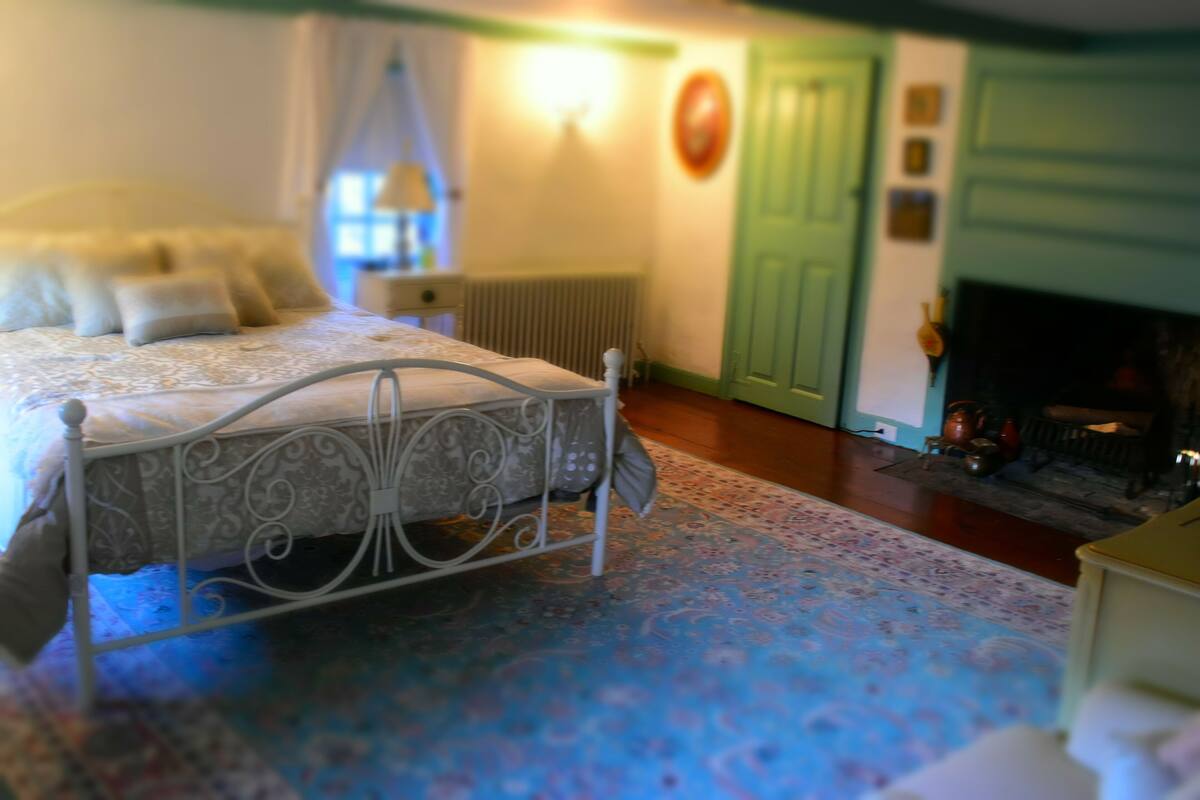 A bedroom with a bed, a radiator, a green door, and a fireplace.
