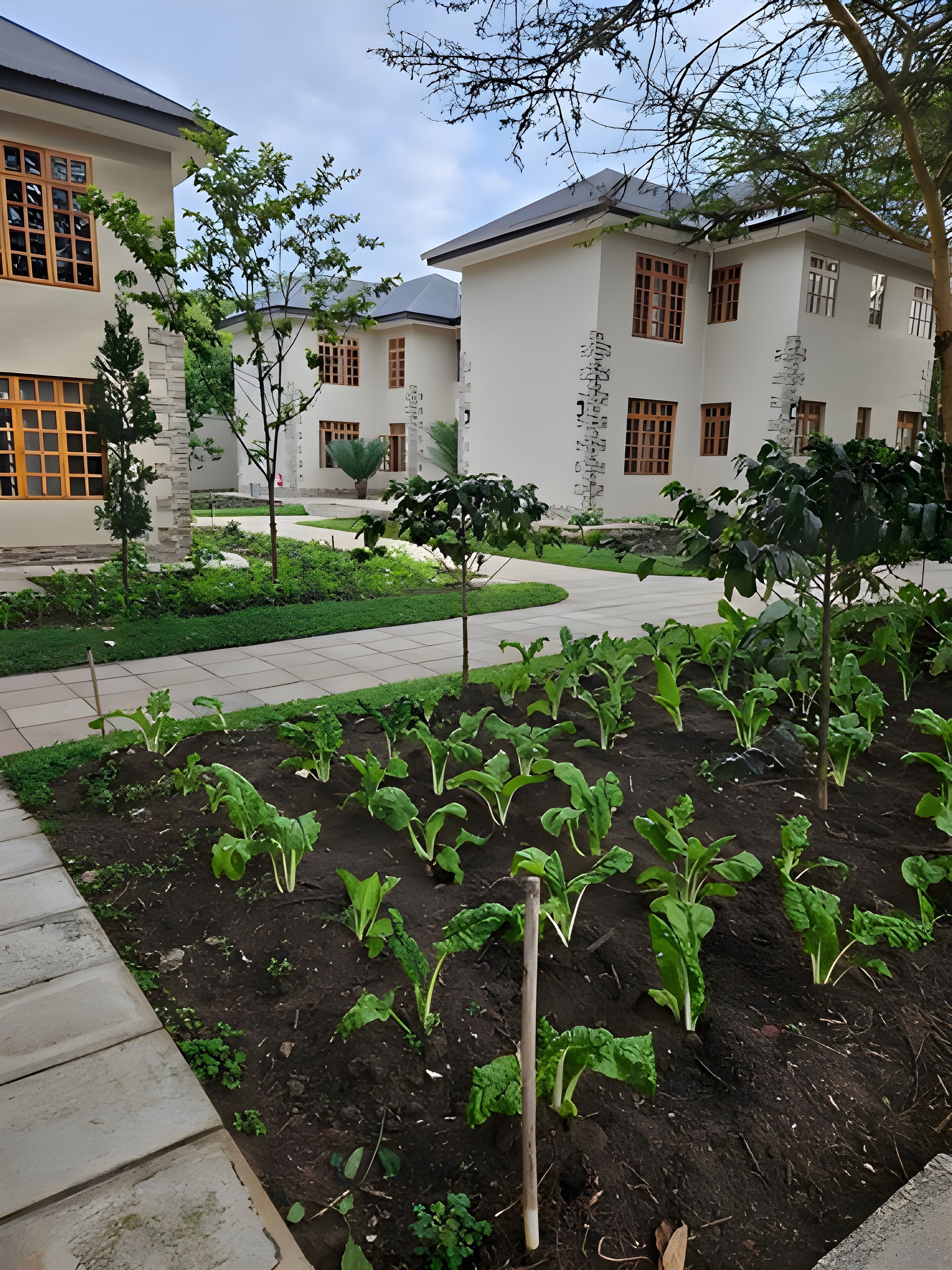 A garden area with various plants and a pathway.