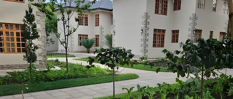A garden area with various plants and a pathway.