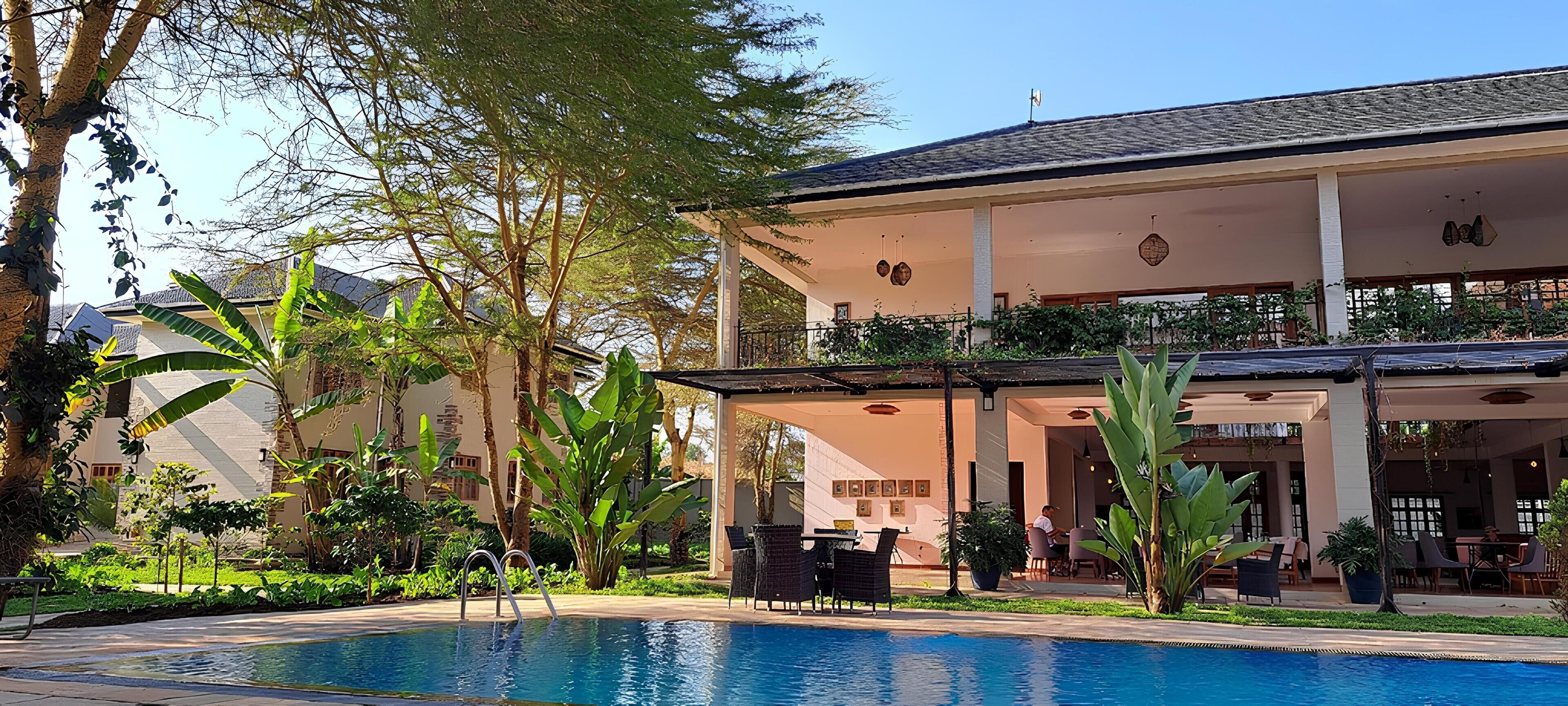 Outdoor pool, sun loungers