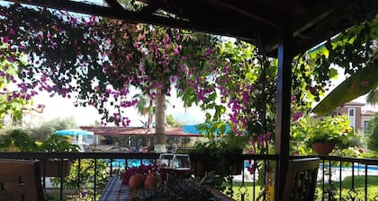 Calis Beach Apartments