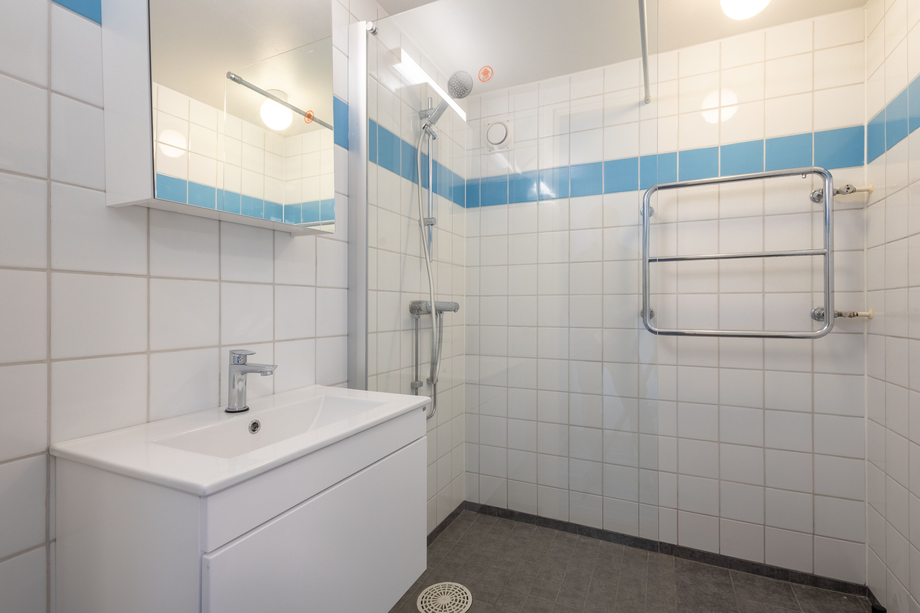 A bathroom with a white sink, a mirror, a shower with a handheld showerhead, and a towel rack.
