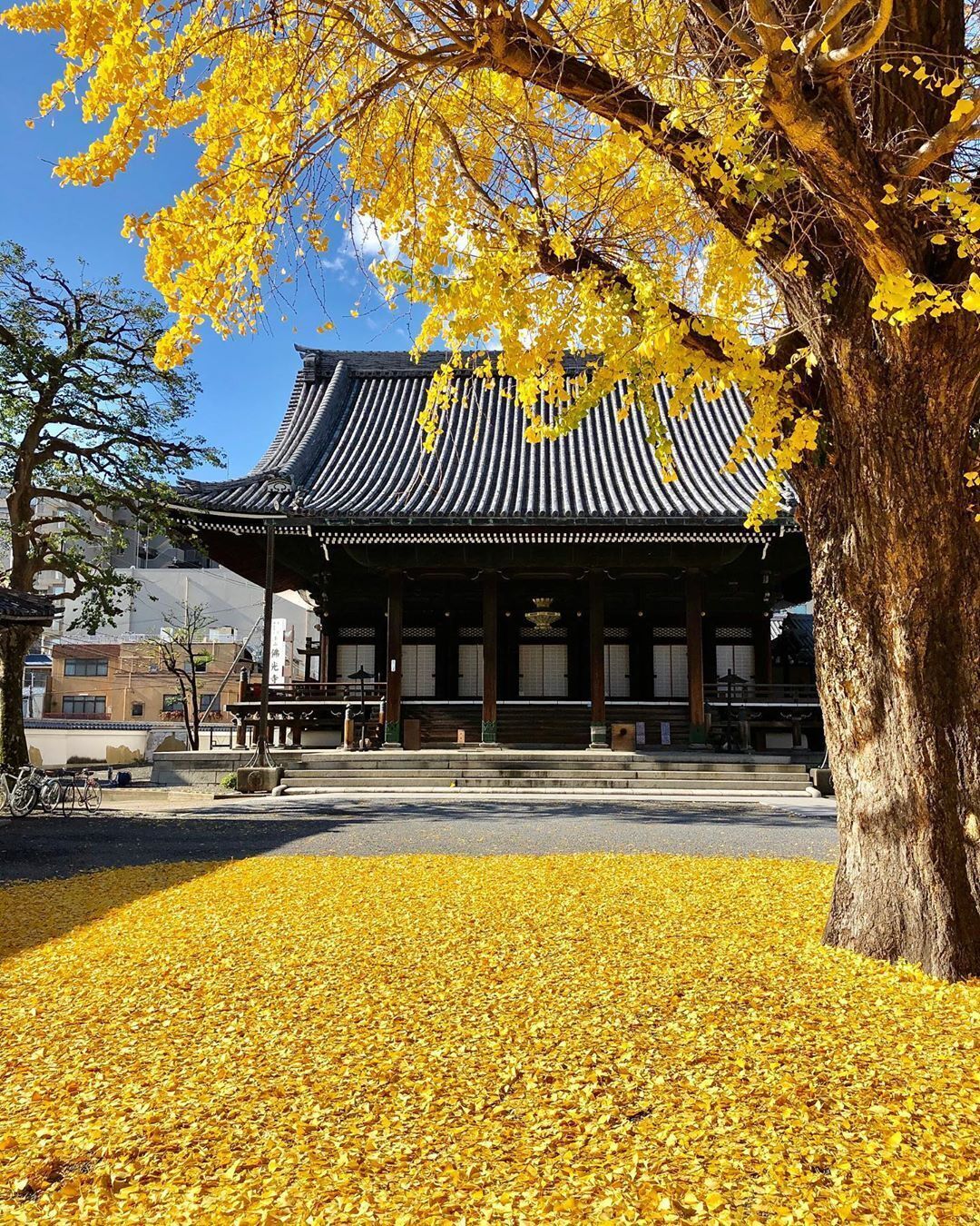 Foto - 谷町君Hotel Crush On 京都四条烏丸