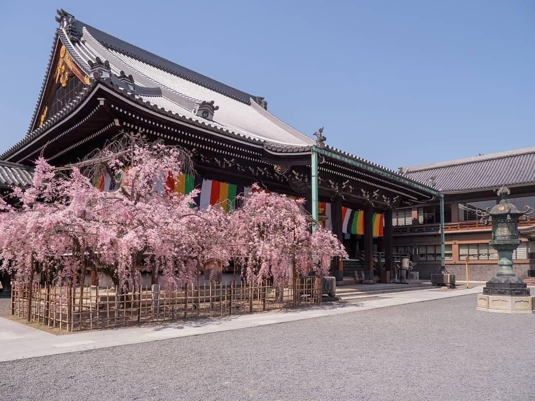 Foto - 谷町君Hotel Crush On 京都四条烏丸