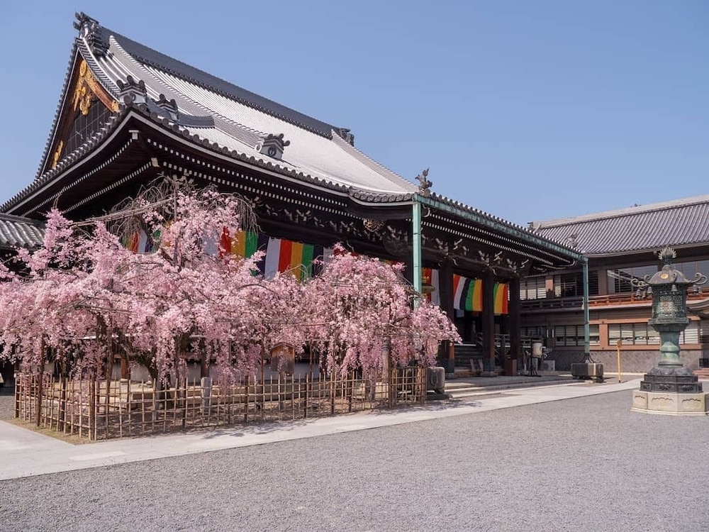 Hotel Crush on by null