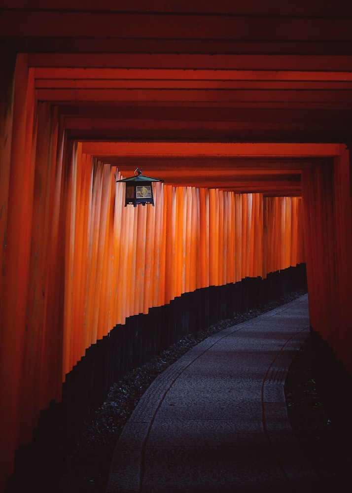 Hotel Crush on by null