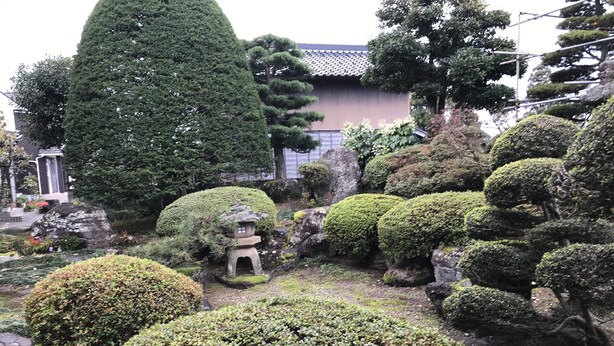 A traditional Japanese garden with various topiary shapes, a stone lantern, and a building in the background. - A house with a rural garden (魚津市)
