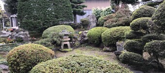 A house with a rural garden