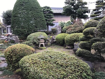 A house with a rural garden