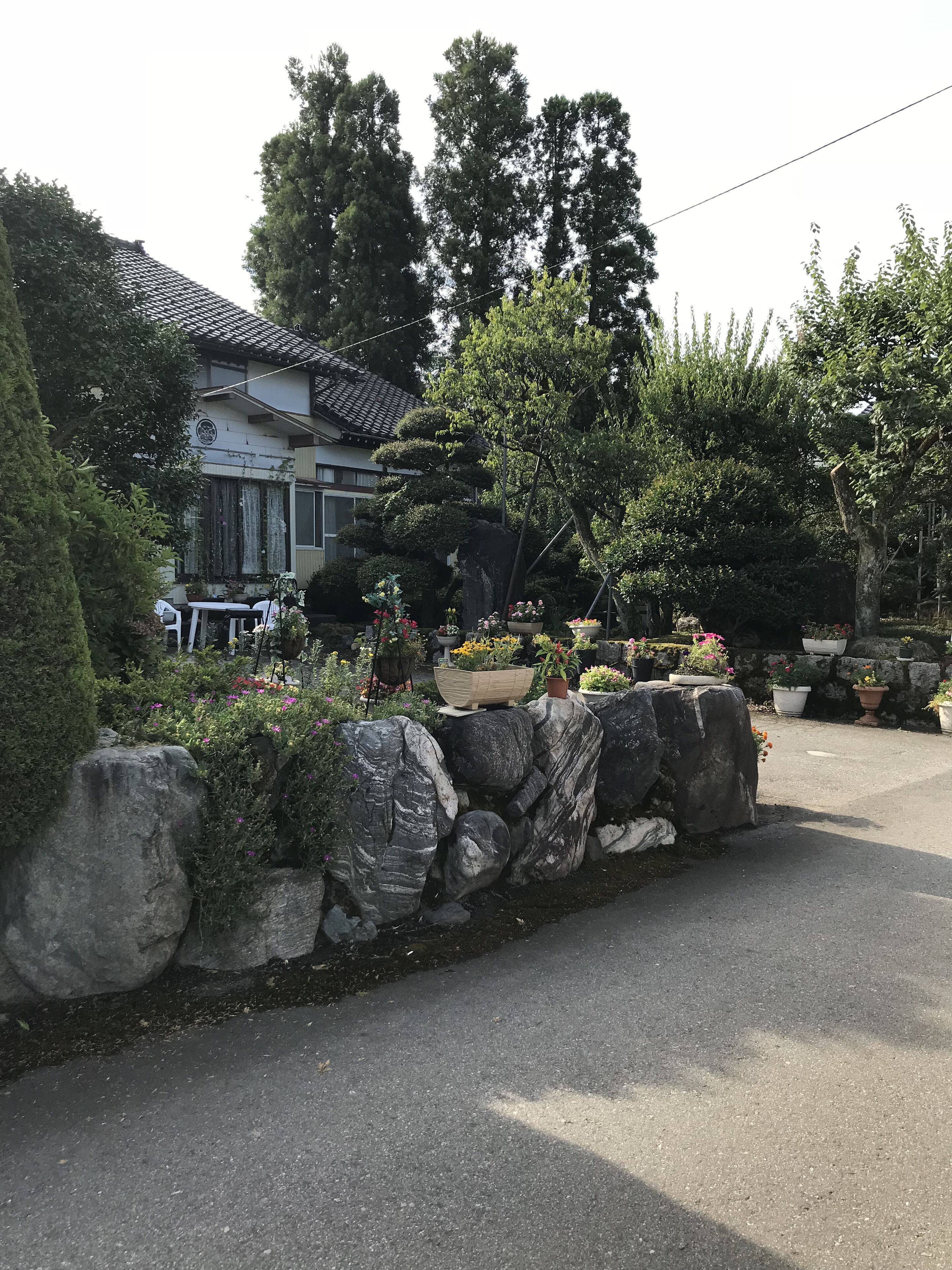 外觀