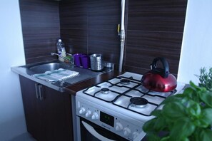 Appartement Ville (2) | Coin cuisine privé | Réfrigérateur, four, plaque de cuisson, bouilloire électrique