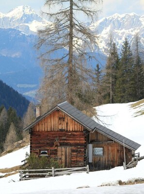Exterior - Rustic apartment in the Dolomites (Abfaltersbach)