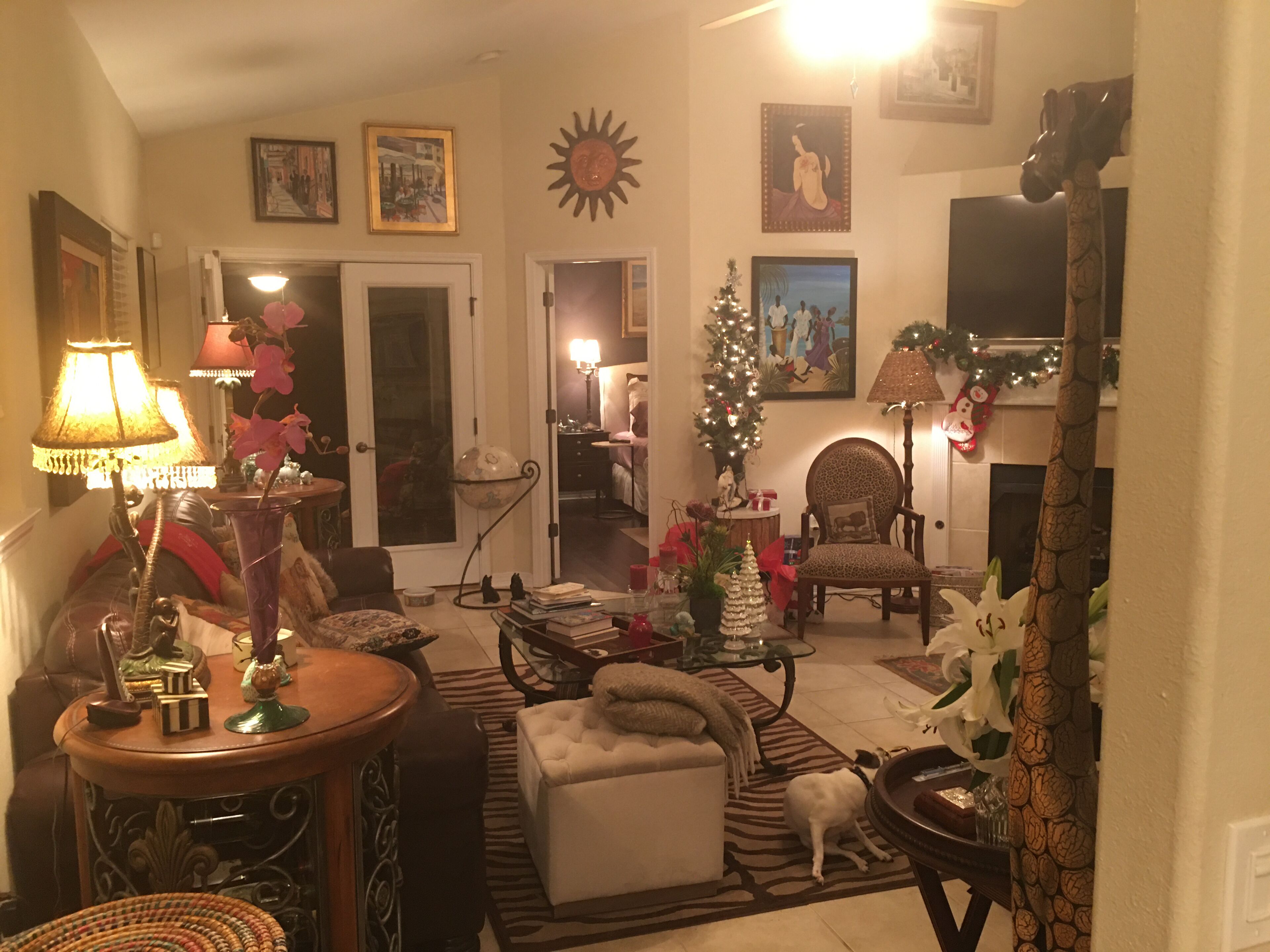 Télévision, cheminée, livres