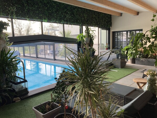 An indoor pool area with a view of the outside, surrounded by potted plants and furniture.