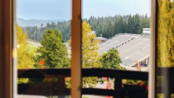 Vista desde la habitación