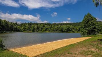 A lake with a sandy beach area, surrounded by dense forest.