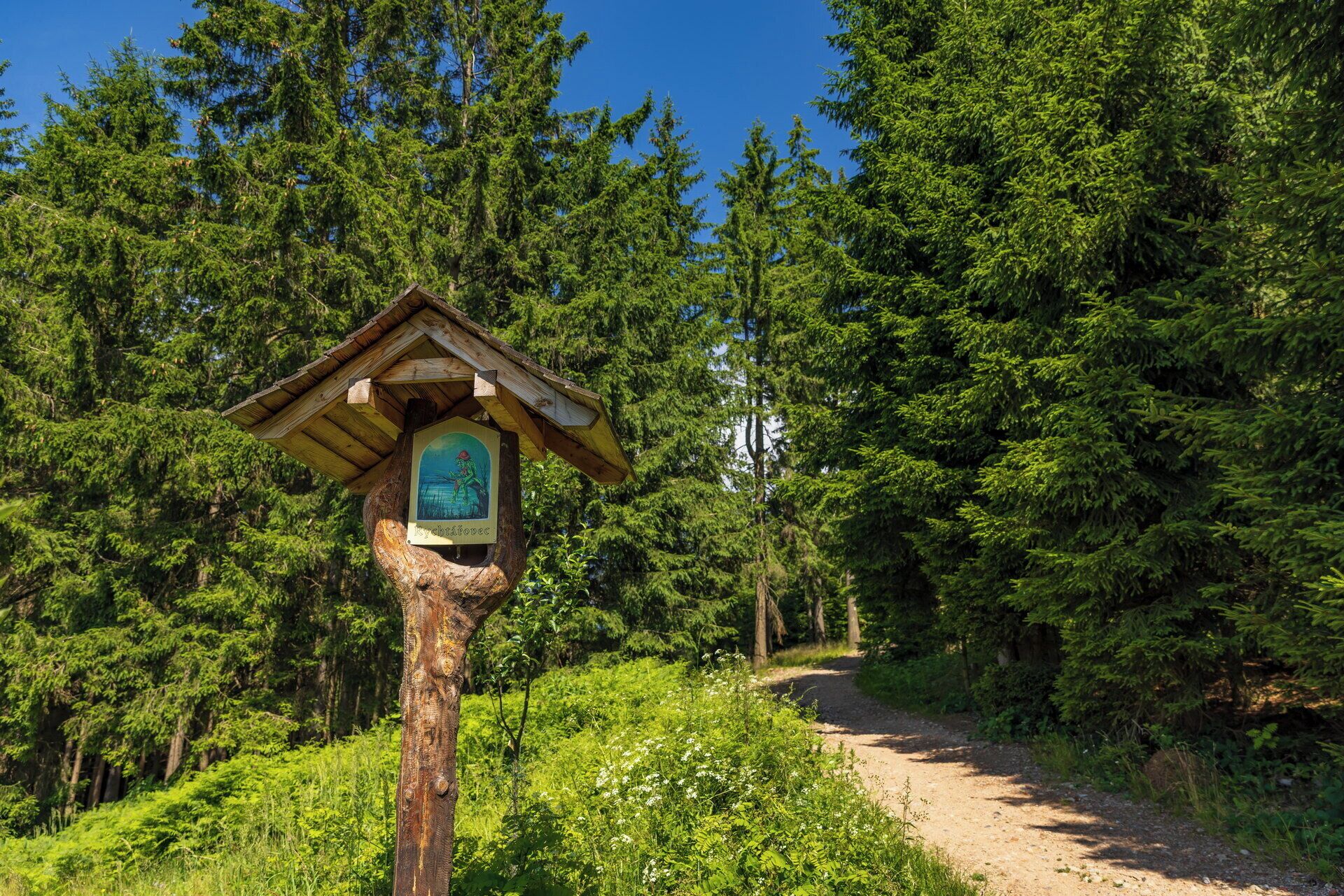 Un cartel de madera con un refugio, rodeado de un bosque denso y un sendero de tierra.