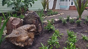 Ein Garten mit großen Steinen und jungen Pflanzen.