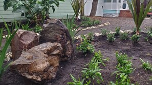 A garden with large rocks and young plants. - Windsor Bungalow Retreat- come for work and relaxation (Sarasota)
