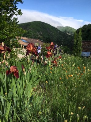 Exterior detail - Detached cozy family home with pool and beautiful views (Saint Vincent d'Olargues)