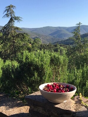 Miscellaneous - Detached cozy family home with pool and beautiful views (Saint Vincent d'Olargues)