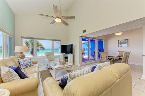 TV, DVD player, books, video library