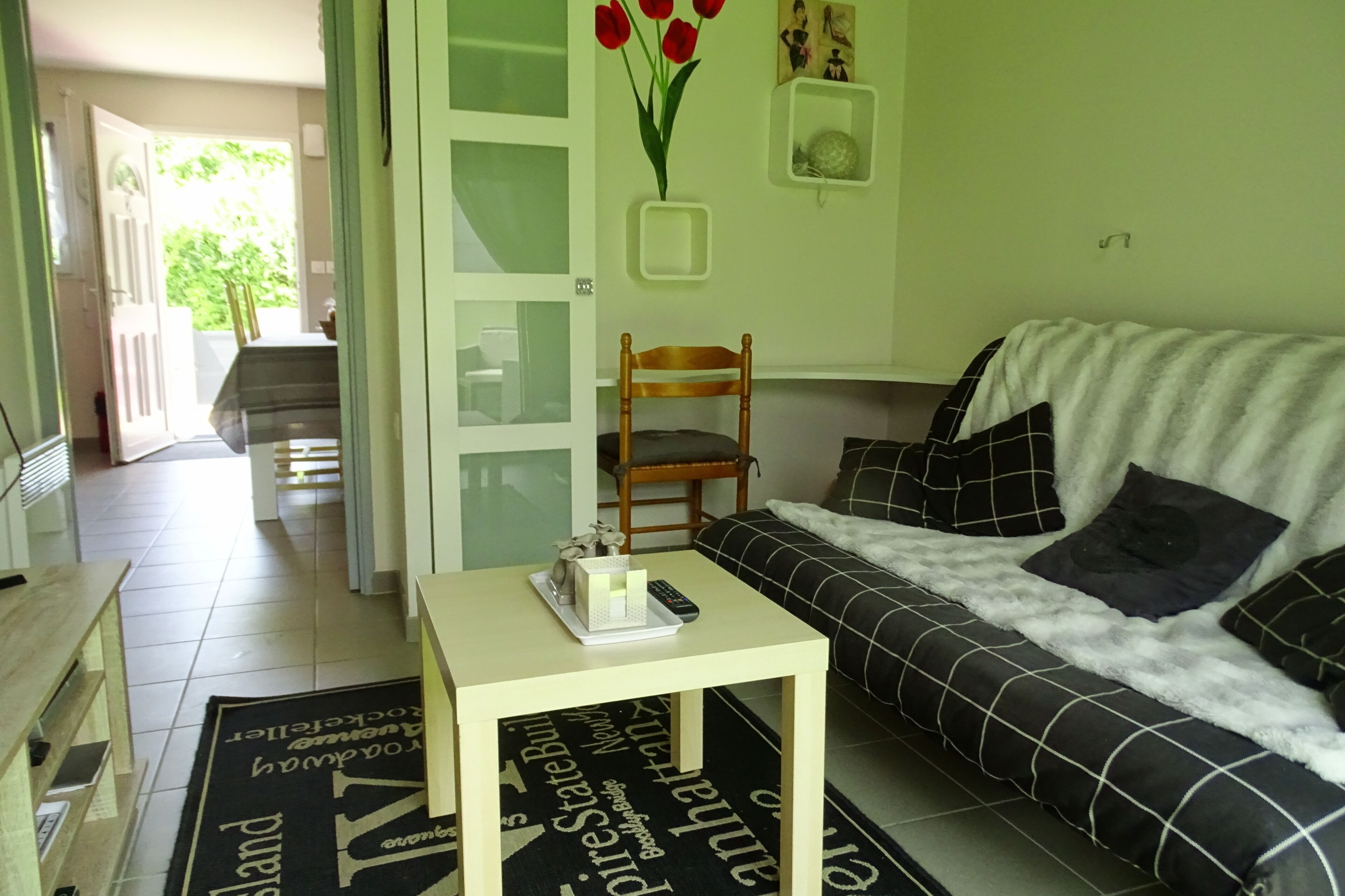 Télévision, lecteur de DVD, livres