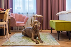 Kahden hengen superior-huone | Oleskelualue | Taulutelevisio