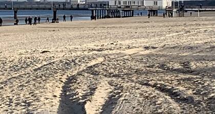 Apartment with 3 bedrooms up to 6 people child-friendly large garden