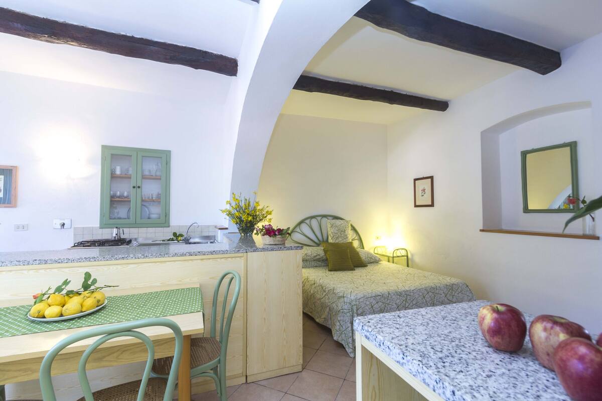 A compact room with a kitchenette, a bed with a green pillow, and a small table with apples.
