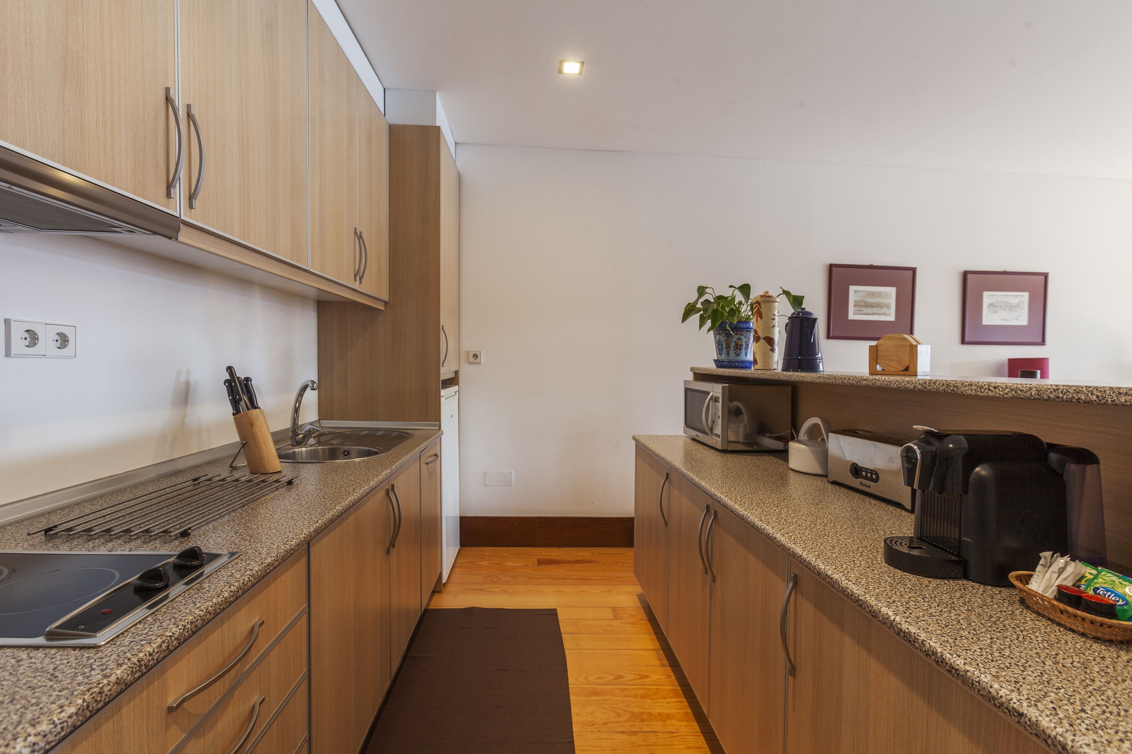 superior apartment, 1 bedroom, river view | private kitchen | microwave, oven, stovetop, dishwasher