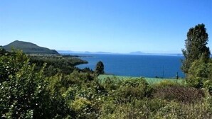 A coastal landscape with a mountain, a body of water, and dense greenery. - Nestled Atop the Lane - Pukawa Bay Holiday Home (Pukawa Bay)