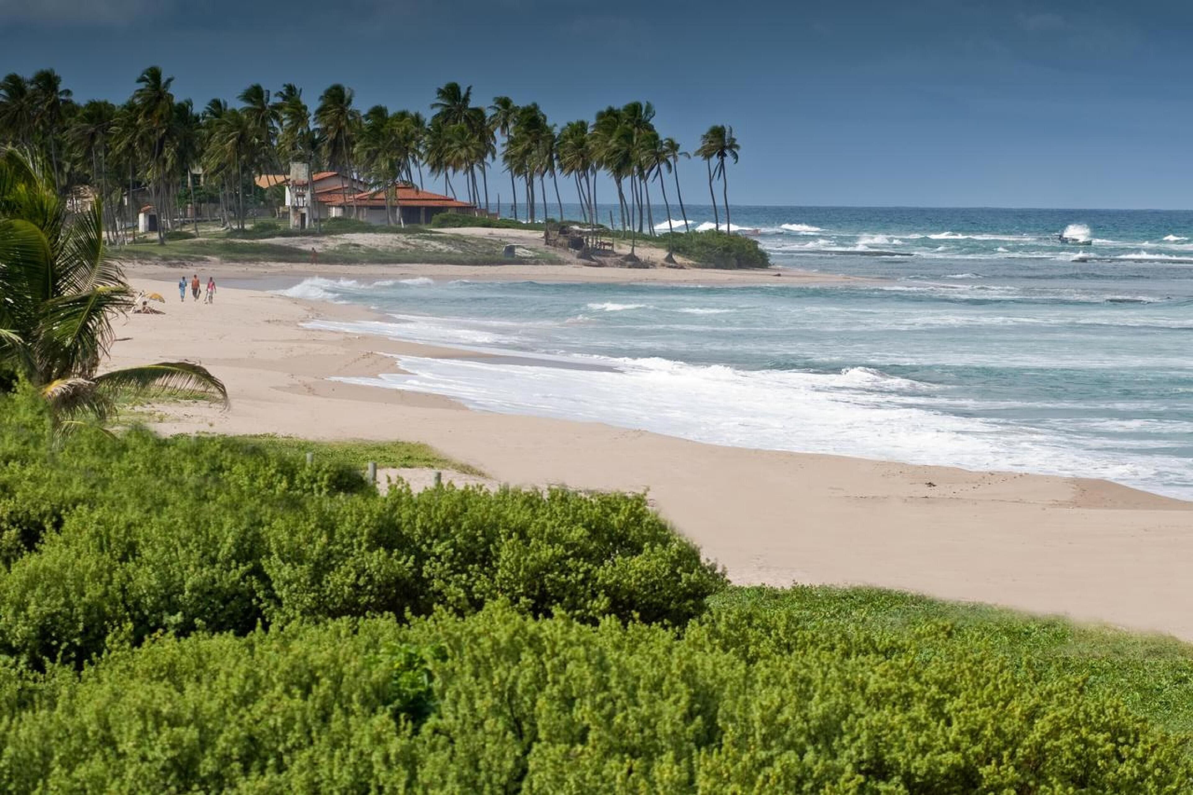 Playa