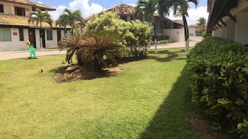 Jardim