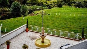 Une terrasse agrémentée d’une fontaine, de plantes en pot et offrant une vue sur des collines verdoyantes sous un ciel nuageux.
