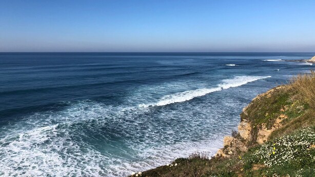Un paysage côtier offrant une vue dégagée sur l’océan, les vagues et une falaise herbeuse parsemée de fleurs sauvages.
