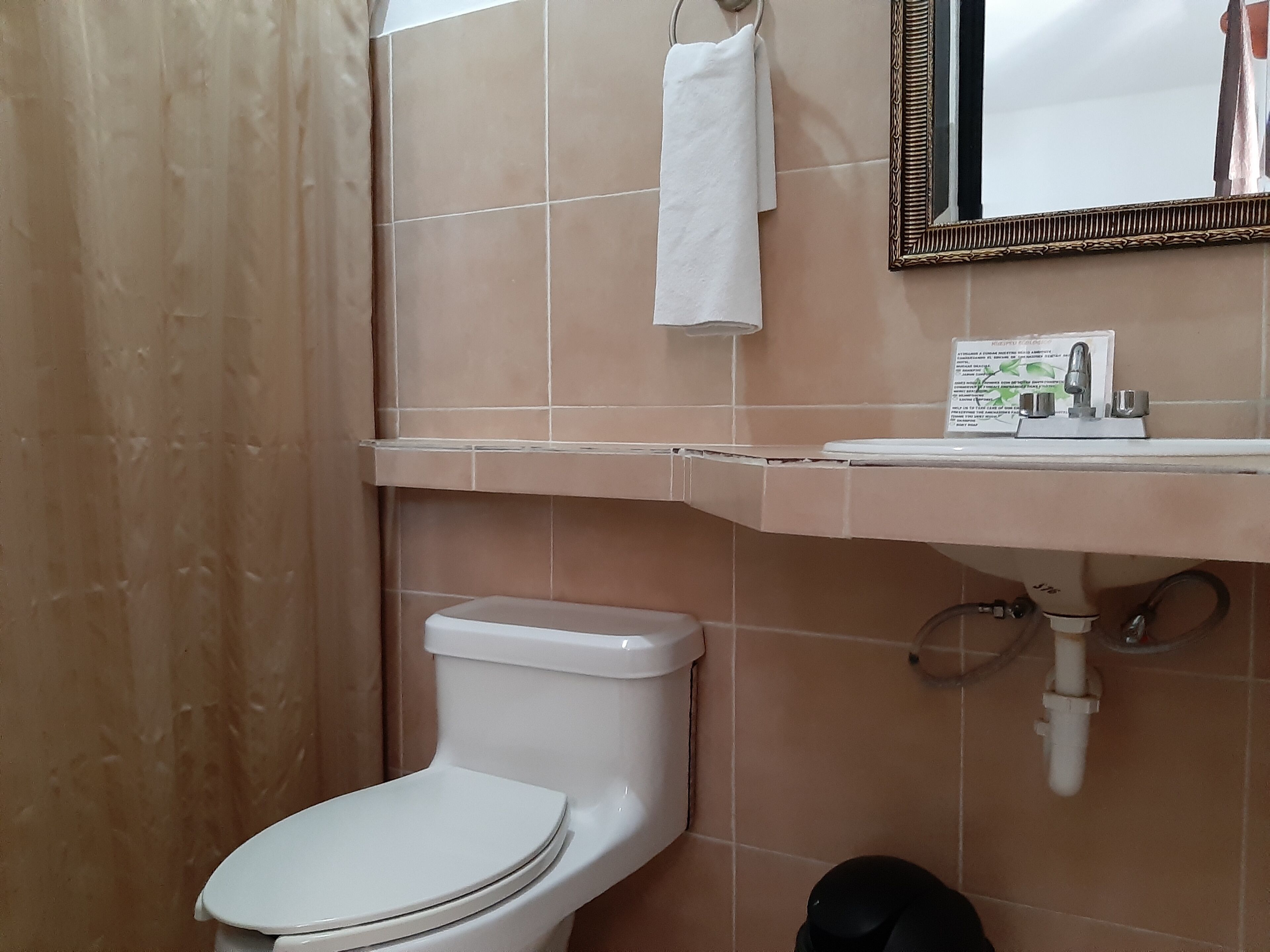 economy room, non smoking | bathroom | shower, hair dryer, towels, soap