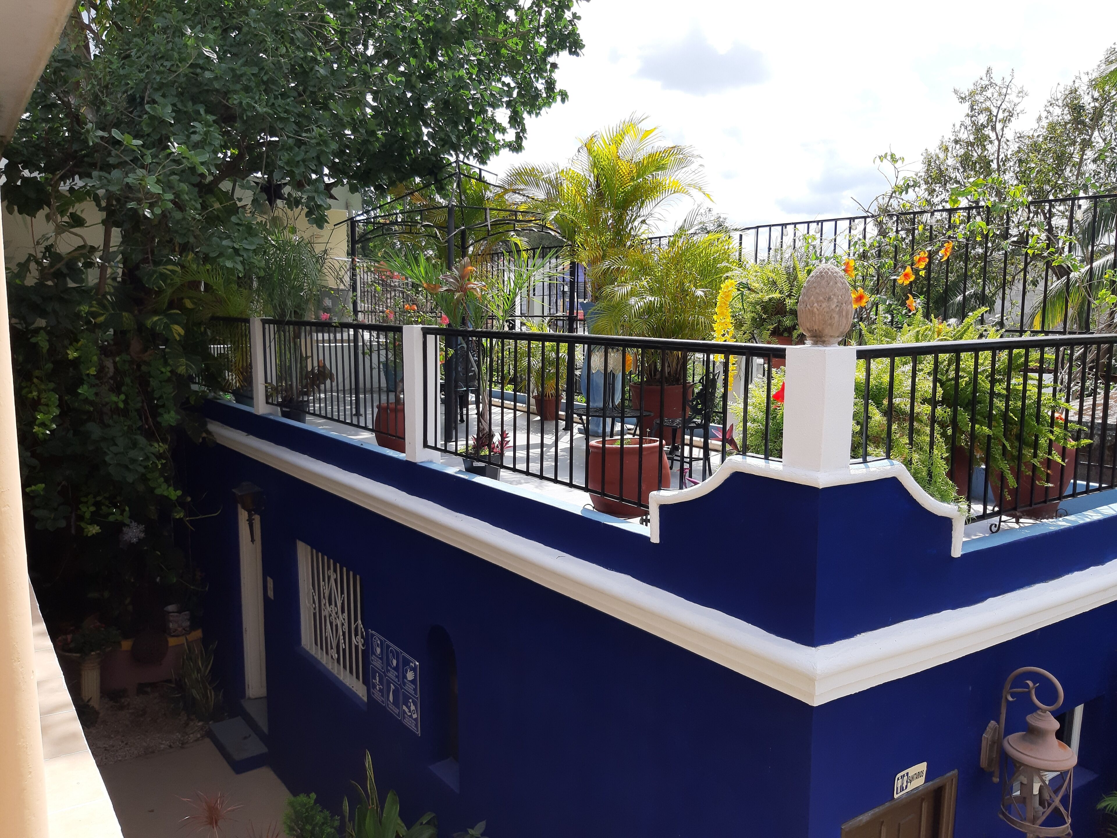 honeymoon studio suite, 1 bedroom, pool access, garden view | terrace/patio