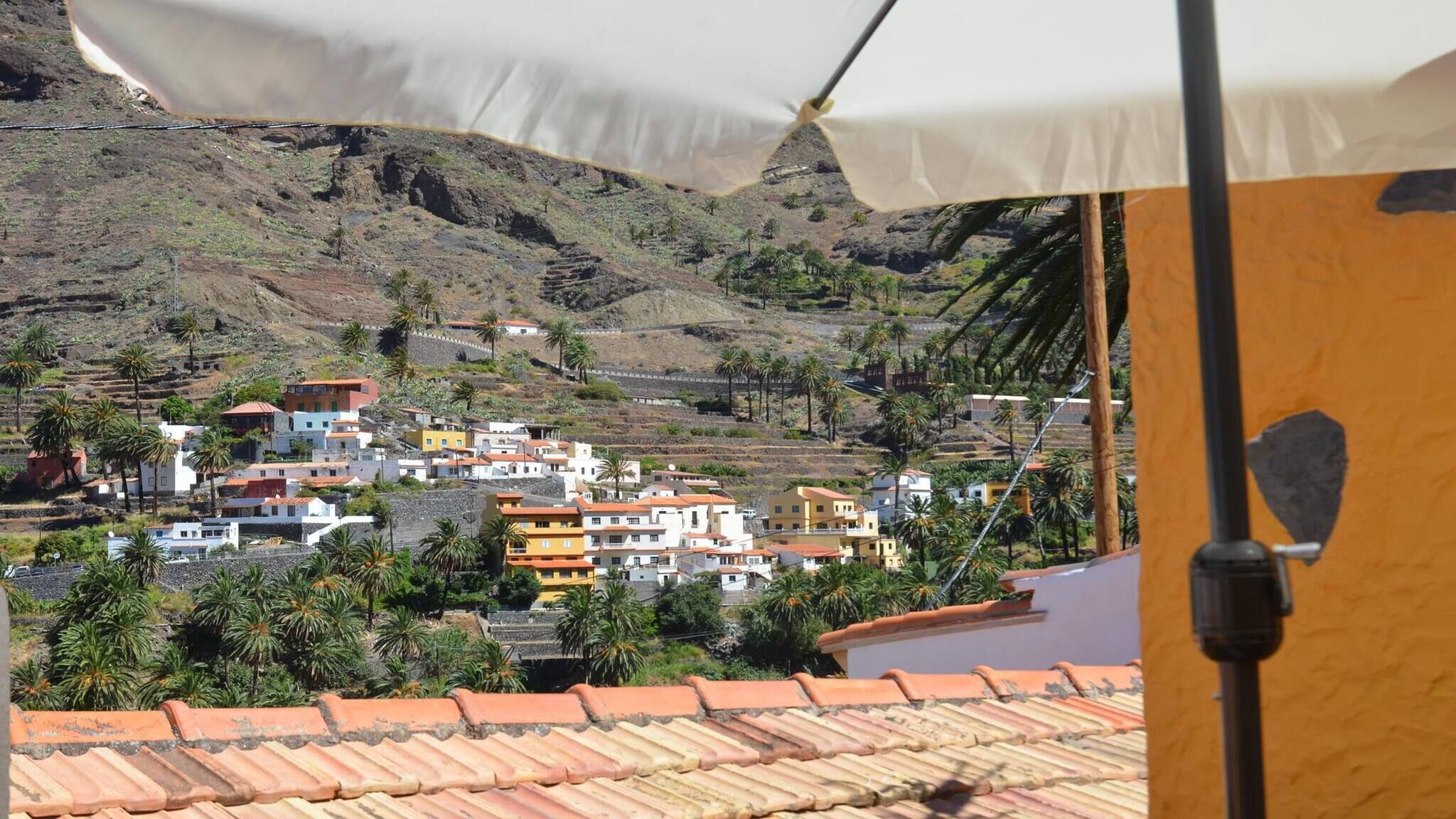 A coastal town with terraced houses, palm trees, and a mountainous backdrop.