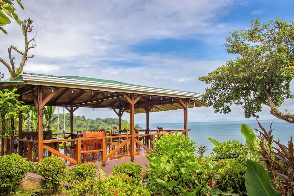 Cotingas Ocean View