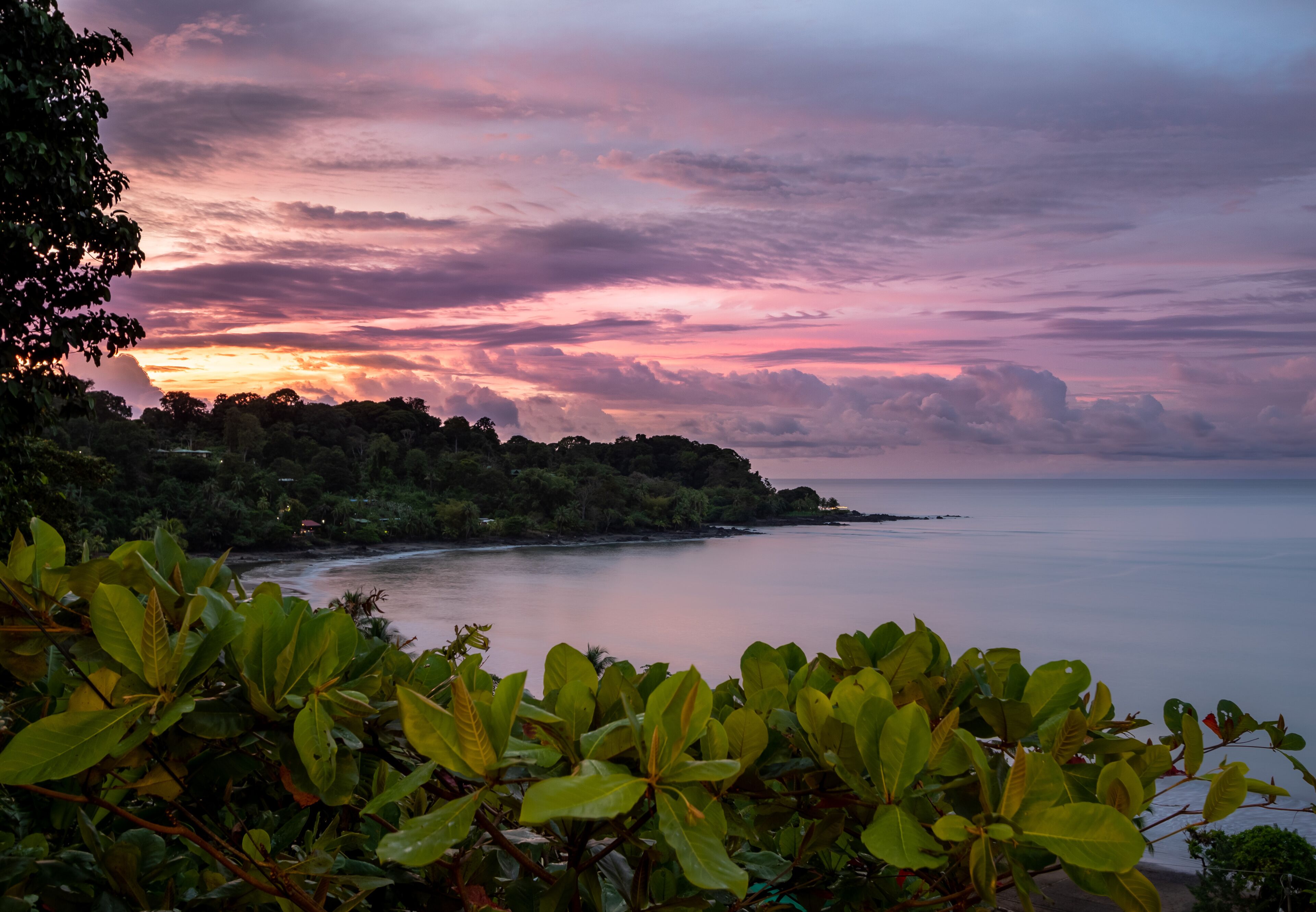 Un paisaje costero con abundante vegetación y un mar tranquilo al atardecer.