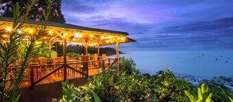 Cotingas Ocean View