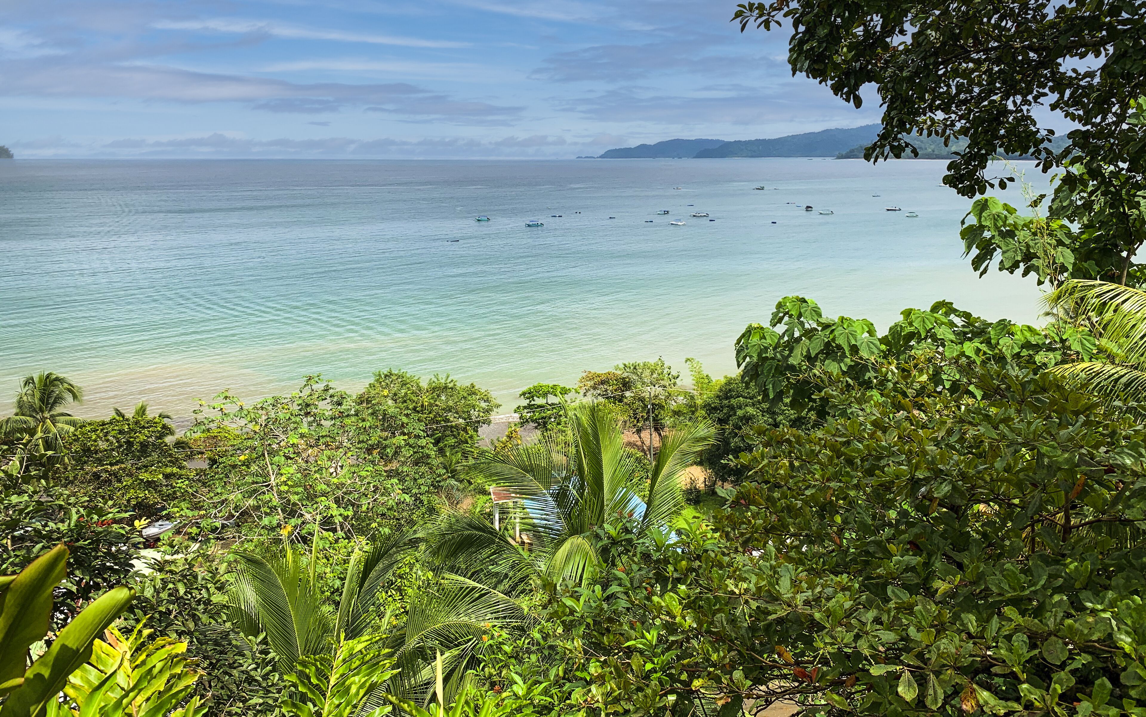 Beach/ocean view
