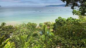 A coastal view with clear water, boats, and dense greenery. - Cotingas Ocean View (Drake Bay)