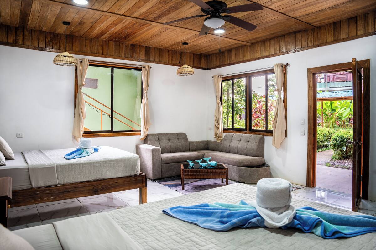 Economy Room, Garden Area