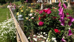 A garden with a variety of flowers and a wooden fence. - On vacation "Auf der Höhe", romantic winter vacation in the Allgäu (Stiefenhofen)