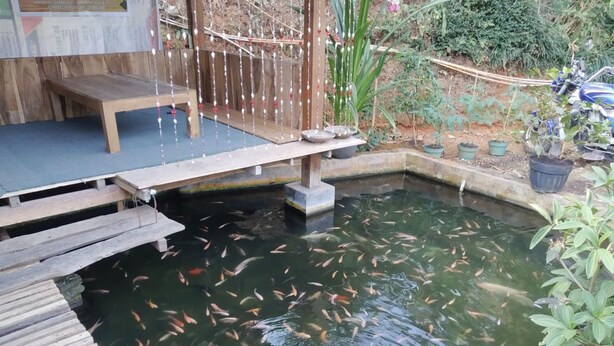 A koi pond with a wooden deck and a sign in the background. - Homestay Banyumili (Kalirejo)