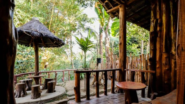 An outdoor wooden deck with rustic furniture, surrounded by lush greenery and a thatched roof structure. - Larasati Homestay (Kalirejo)