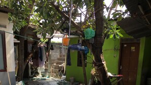 A courtyard with a tiled floor, a tree, and a green wall. - Pak Pur Homestay (Kasihan)