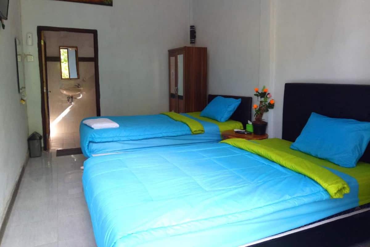 Une chambre avec deux lits, chacun agrémenté de draps bleus et d’un plaid vert. Un petit meuble et une plante en pot se trouvent sur le côté droit.